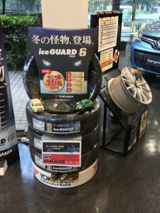 IMG-7999
