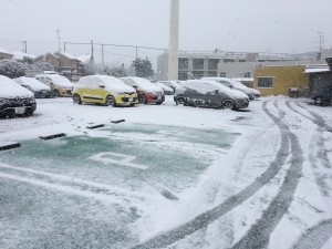 IMG-8654
