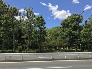 3C5DE569-DDCB-467E-8FCA-92C611AD6370